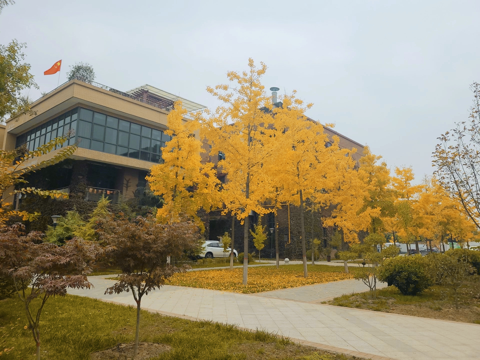 L(chng)ſƼa(chn)I(y)@