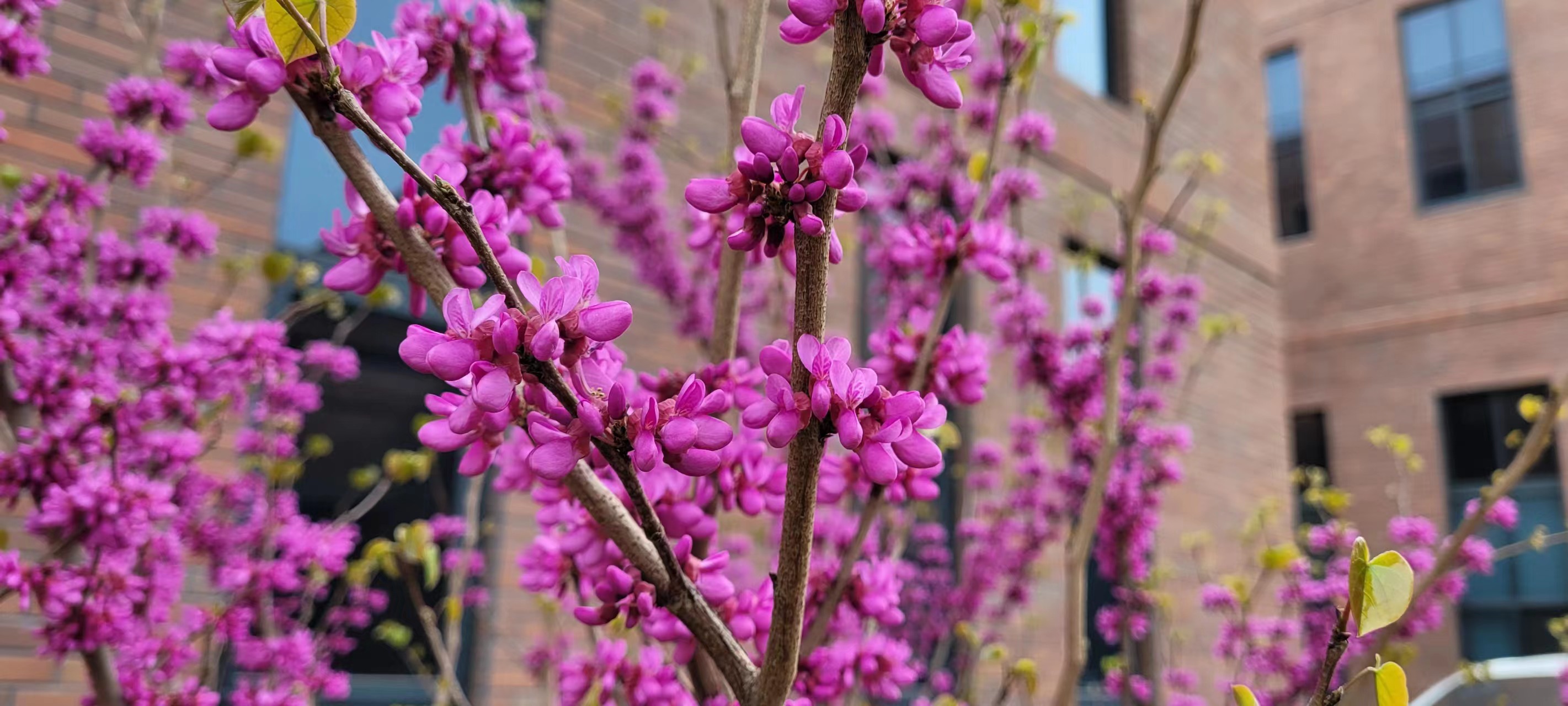 長(cháng)信科技產(chǎn)業(yè)園 長(cháng)信科技產(chǎn)業(yè)園