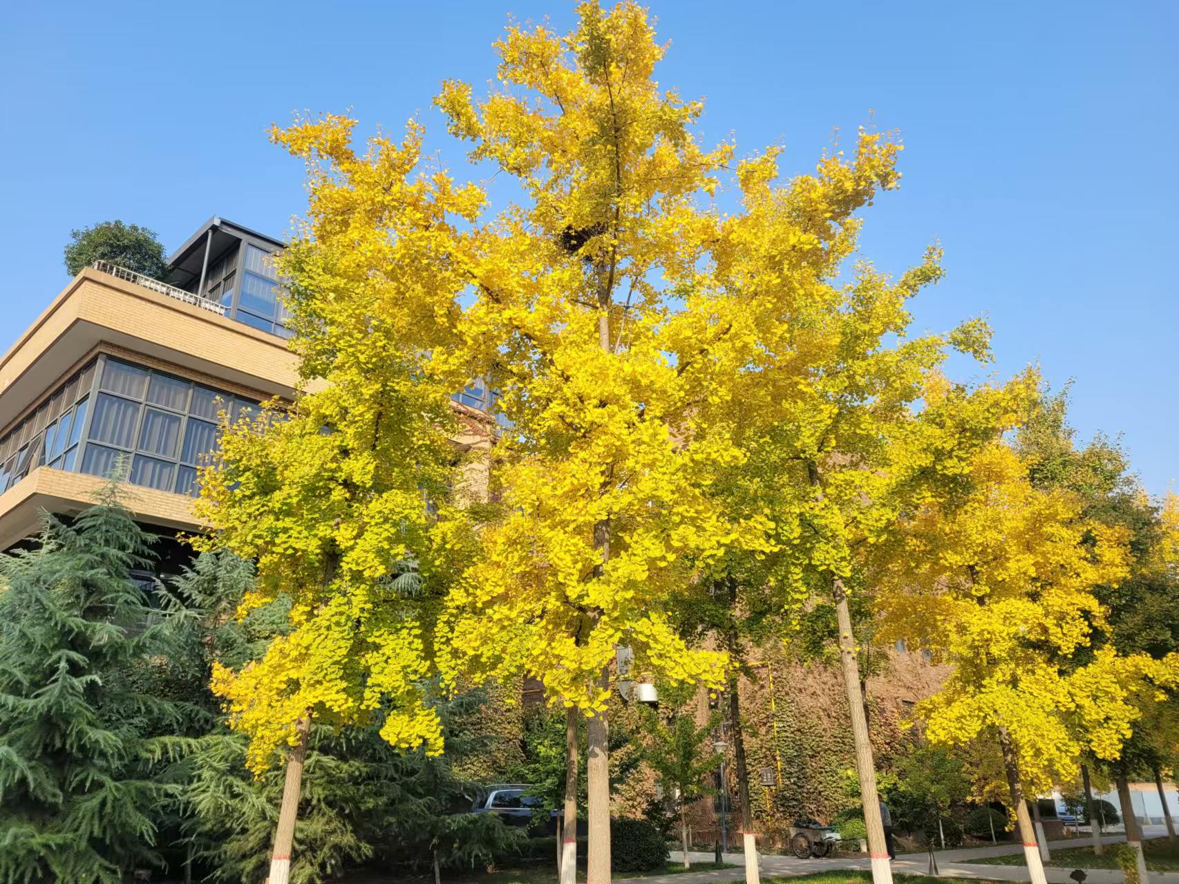 L(chng)ſƼa(chn)I(y)@