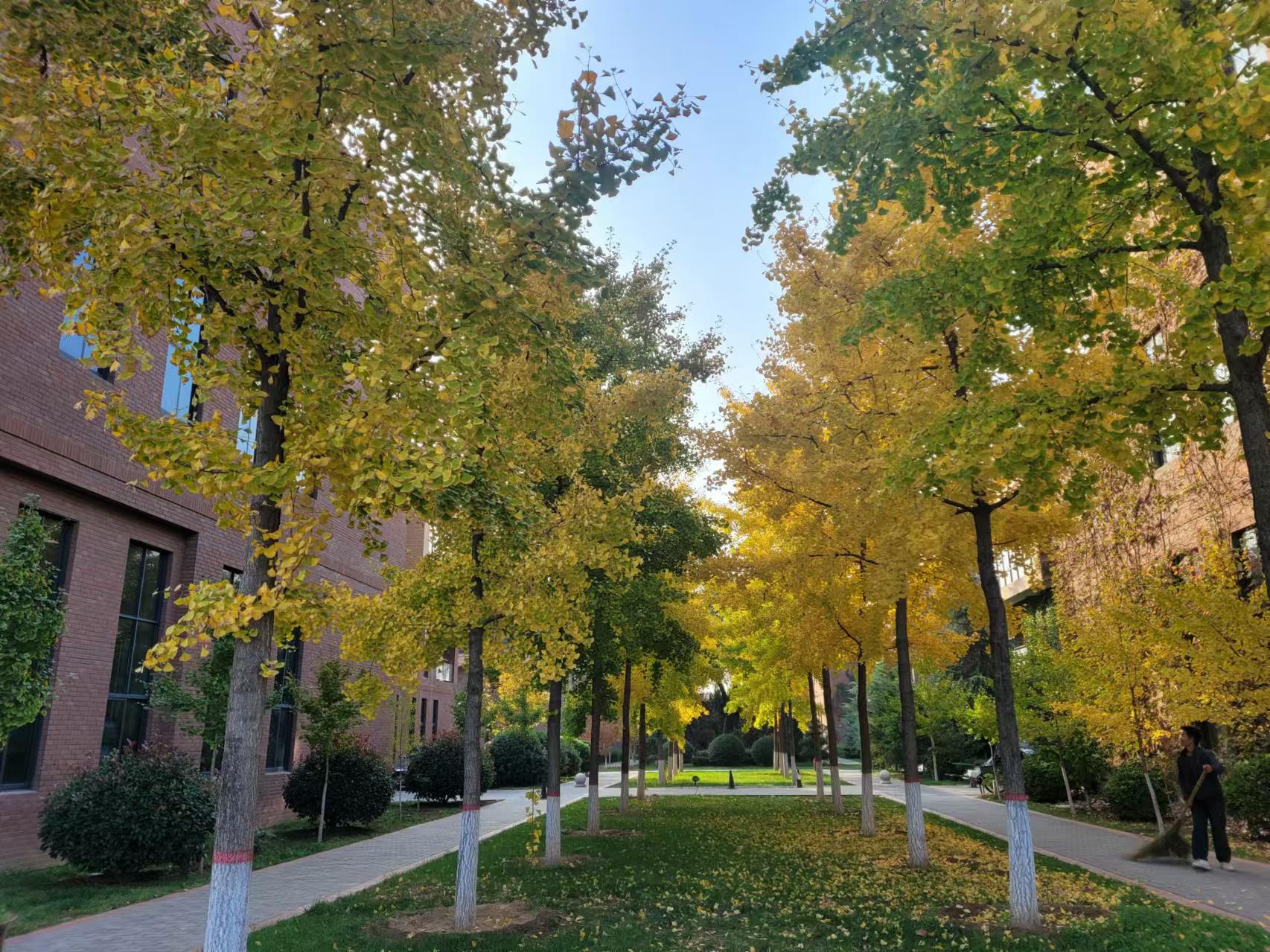 長(cháng)信科技產(chǎn)業(yè)園 長(cháng)信科技產(chǎn)業(yè)園