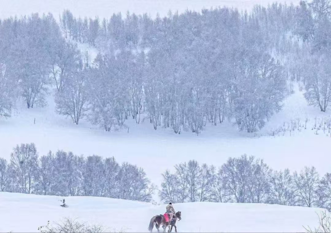 L(chng)ſƼa(chn)I(y)@