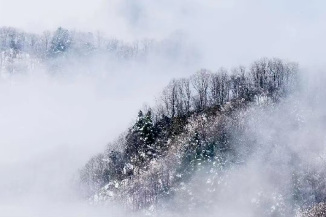 L(chng)ſƼa(chn)I(y)@